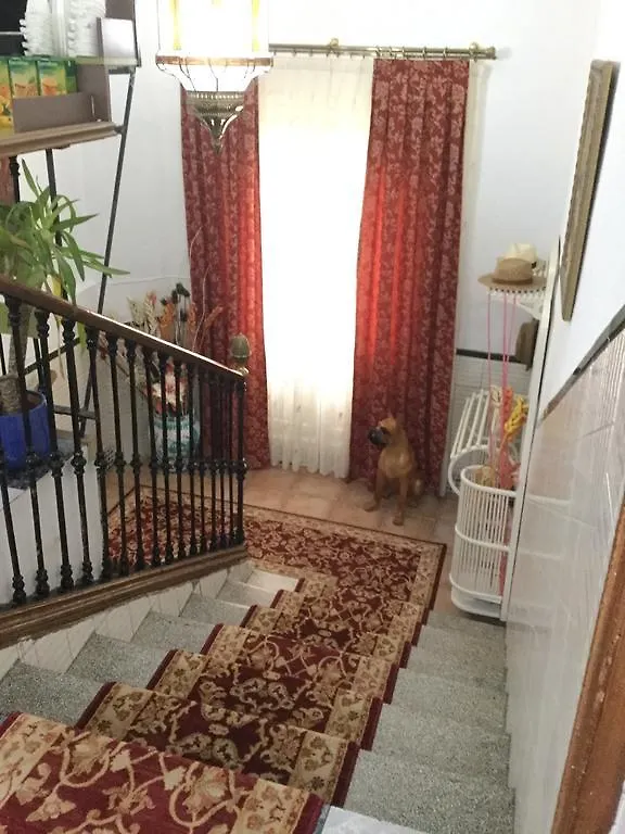 Pension Zurita Granada 0*,  Spagna